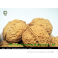 Top Quality Walnuts kernels light color Bulk Pieces